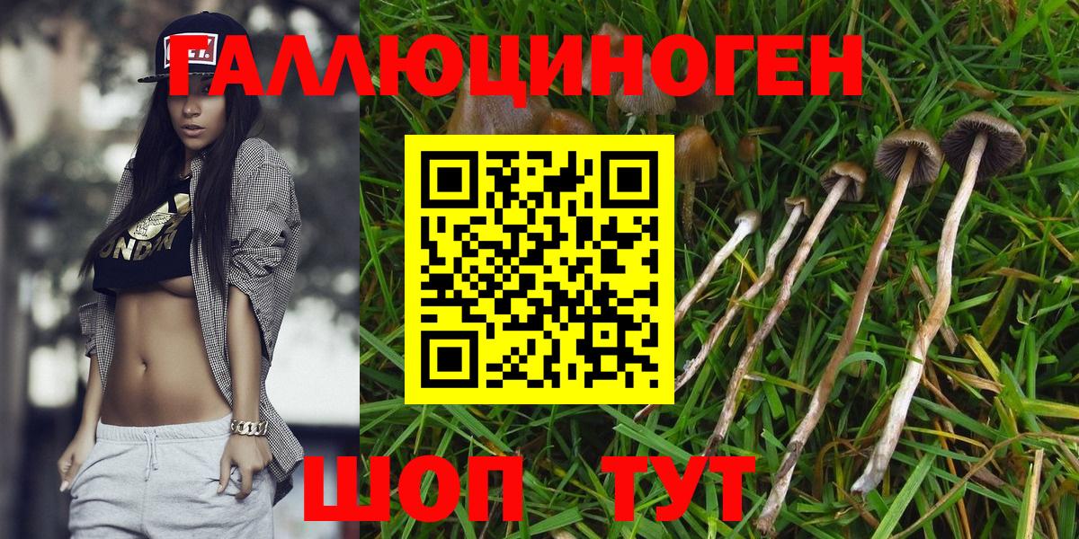 Псилоцибиновые грибы прущие грибы Дмитров
